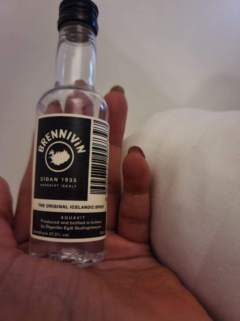 Reykjavik, Iceland: Snorkeling&nbsp;(Attempted)