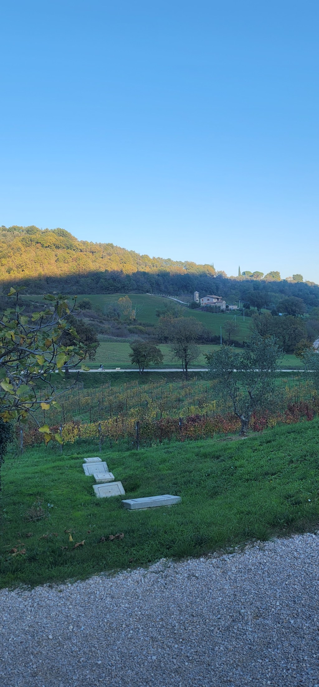 Umbria, Italy: Tasting in La&nbsp;Bruna