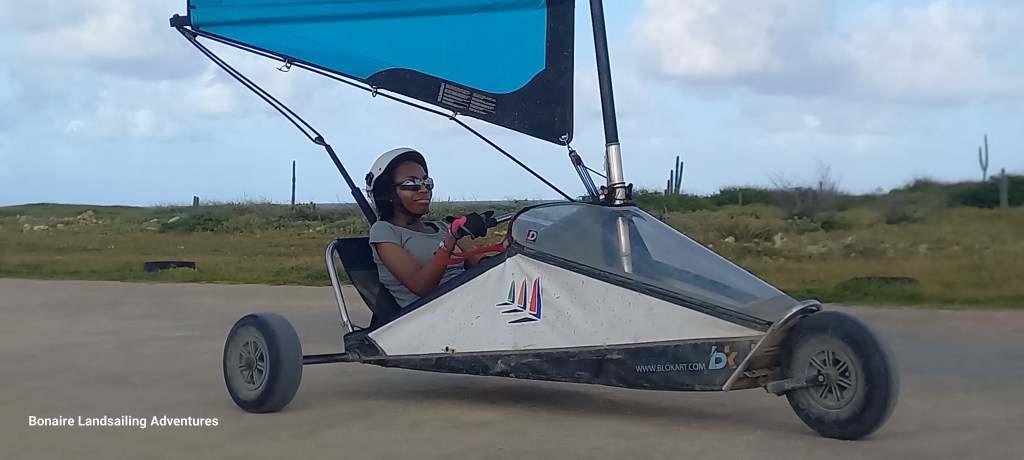 Bonaire: Arts & Crafts Cruise Market and Bonaire Landsailing